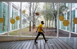 Apiteca proyecto biblioteca