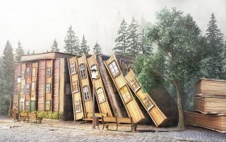Bibliotecas medio rural