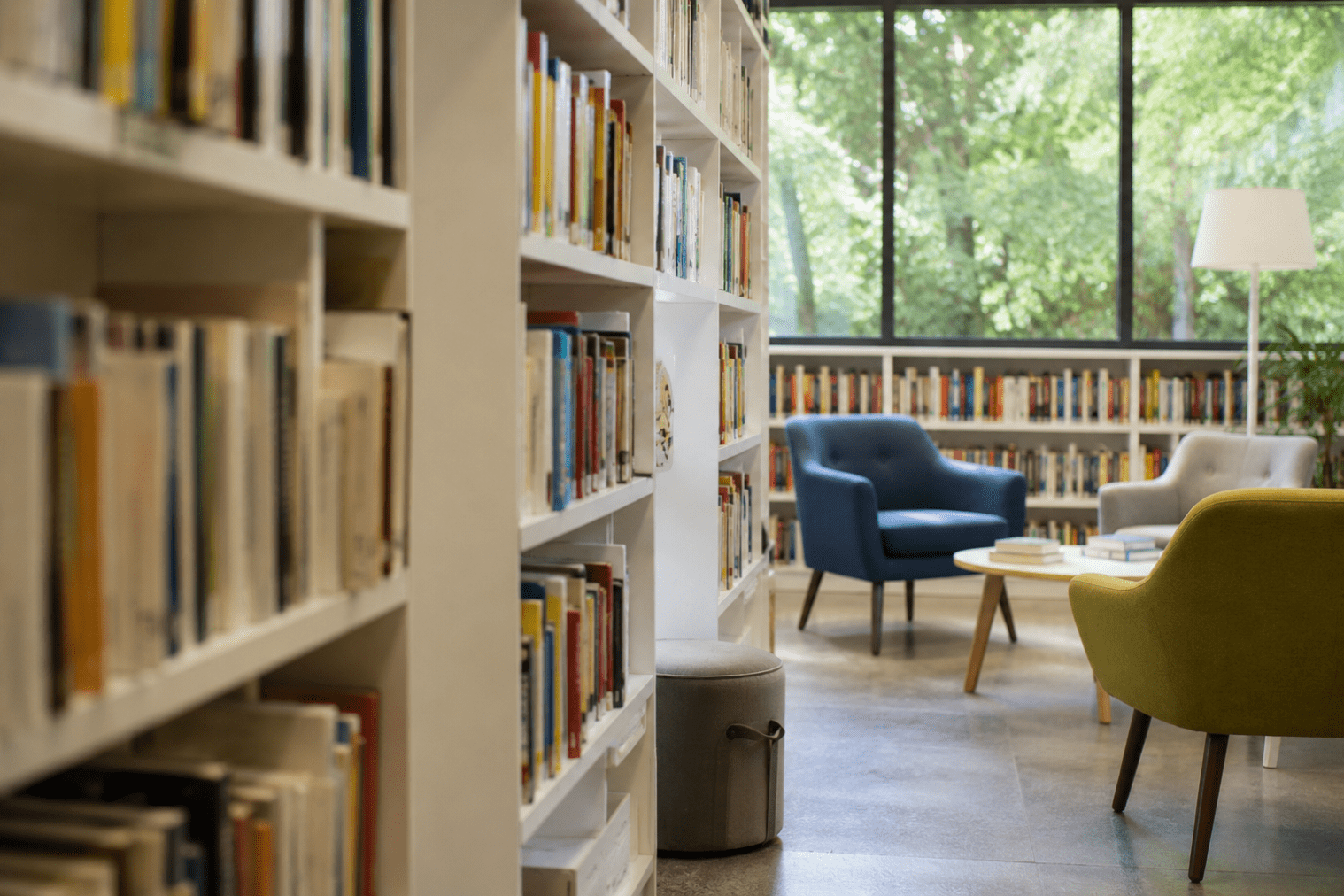 Bibliotecas públicas funciones básicas