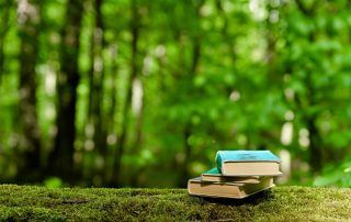 Bibliotecas verdes