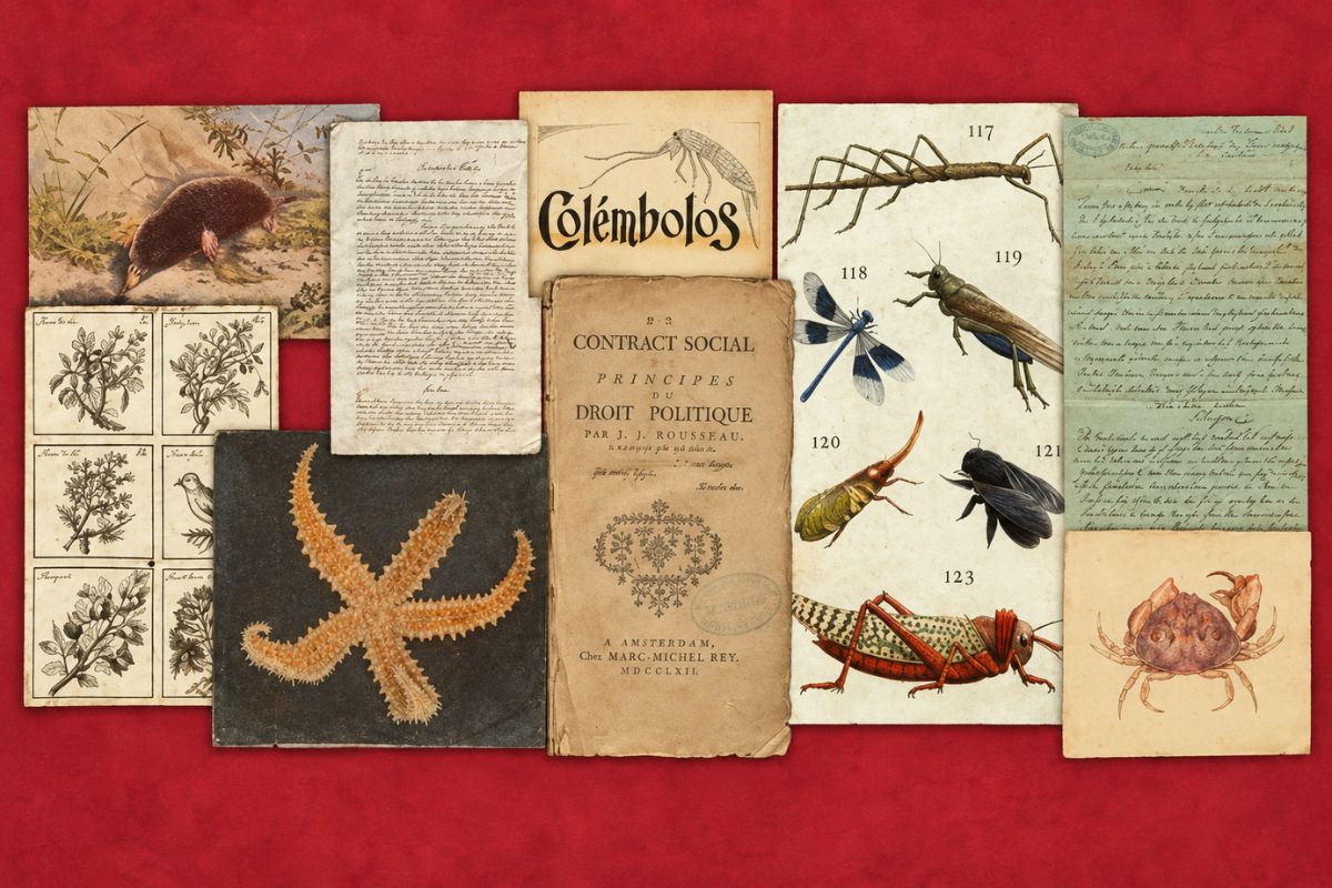 Collage de historia natural antigua