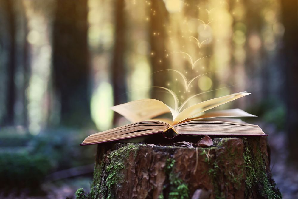 Conoce los proyectos de minibibliotecas del Parque Natural de la Zona Volcánica de la Garrocha