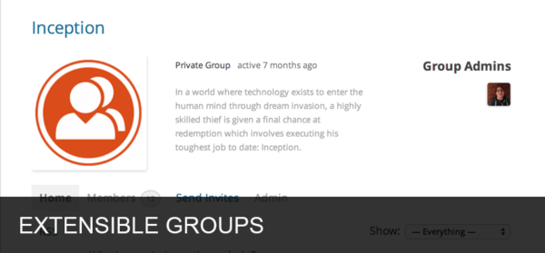 Extensible groups Extensible groups