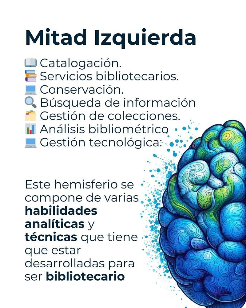 Hemisferio izquierdo del personal bibliotecario