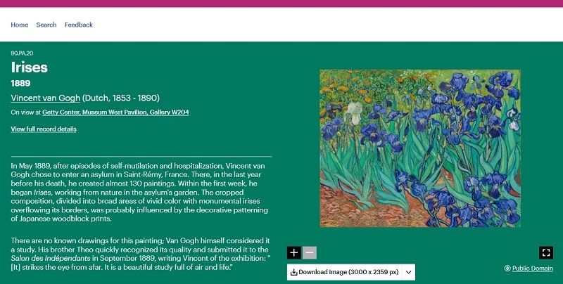Irises, de Van Gogh, en dominio público