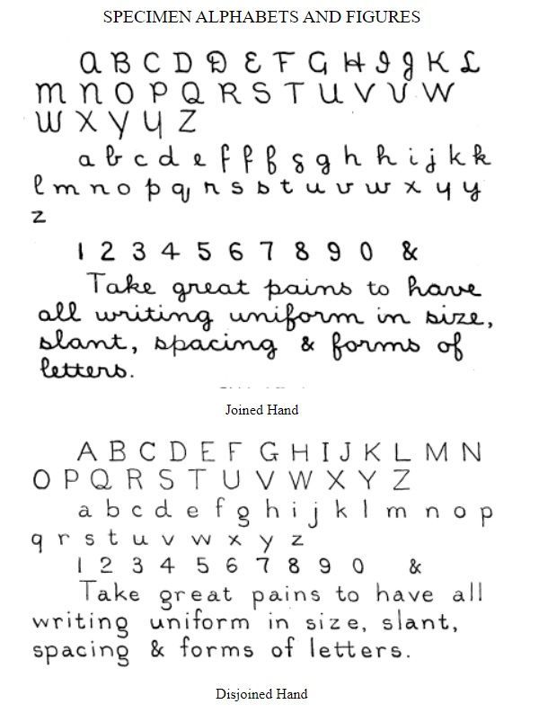 Tipografía bibliotecas siglo pasado