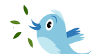 Twitter mejores prácticas